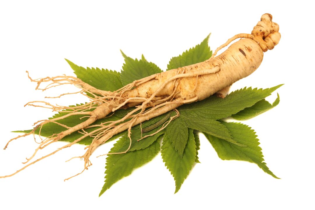 ginseng - een element van de samenstelling Alfazone